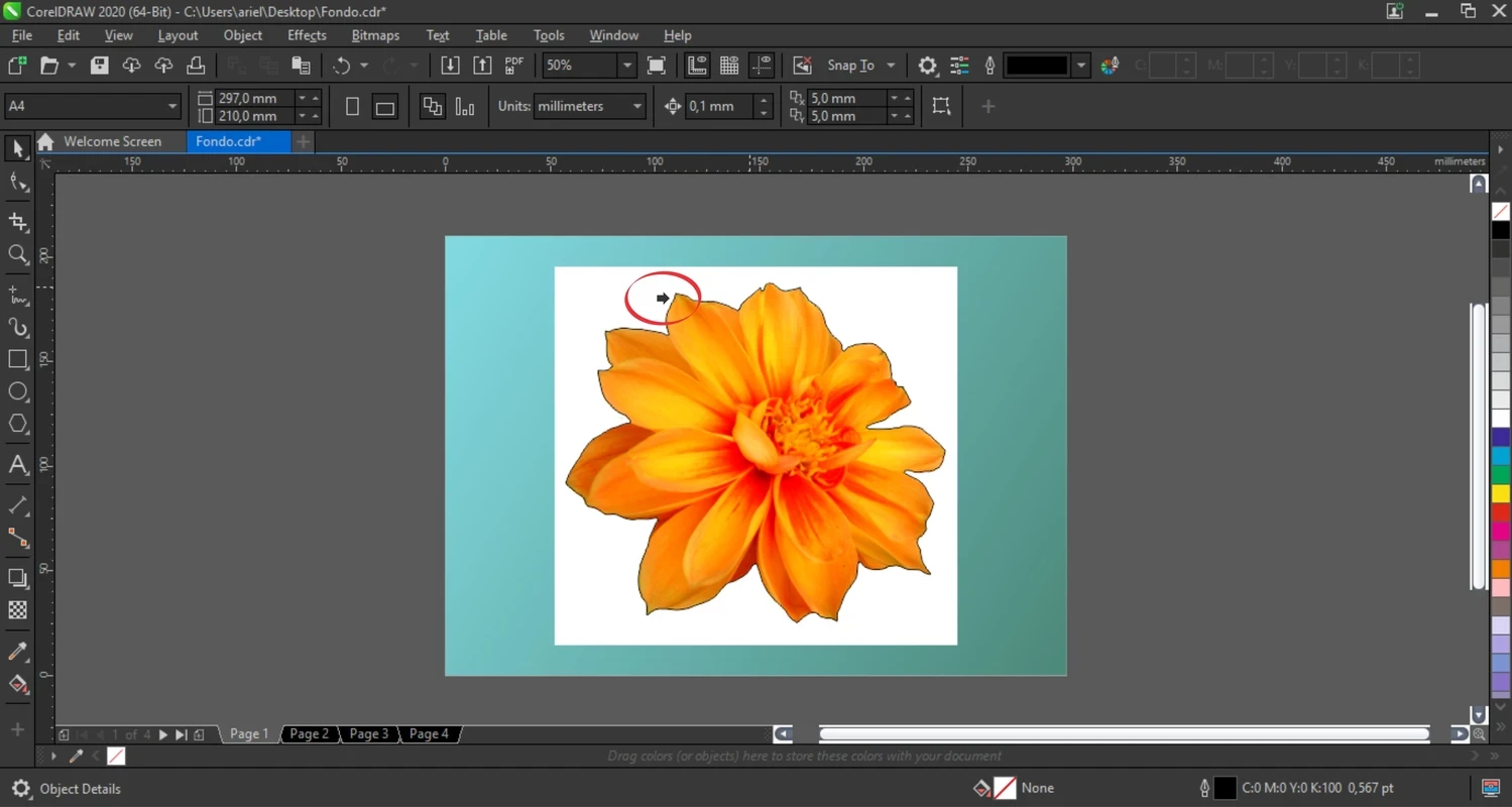 CorelDraw — скриншот 4